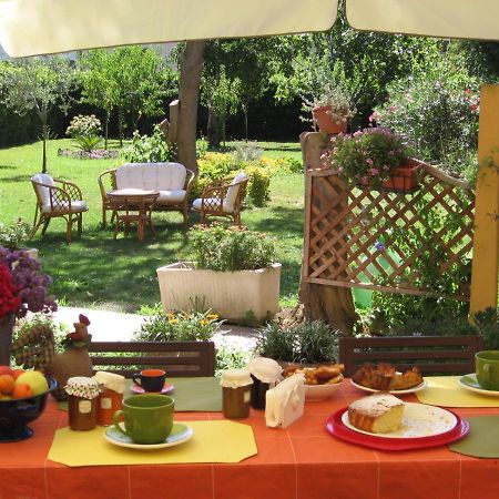 Al Piano Di Sopra Bed & Breakfast Massarosa Eksteriør bilde