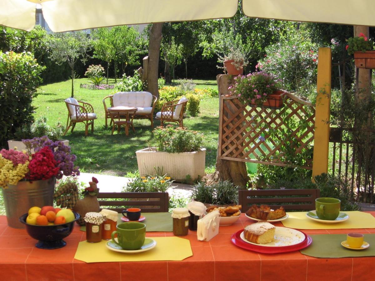 Al Piano Di Sopra Bed & Breakfast Massarosa Eksteriør bilde